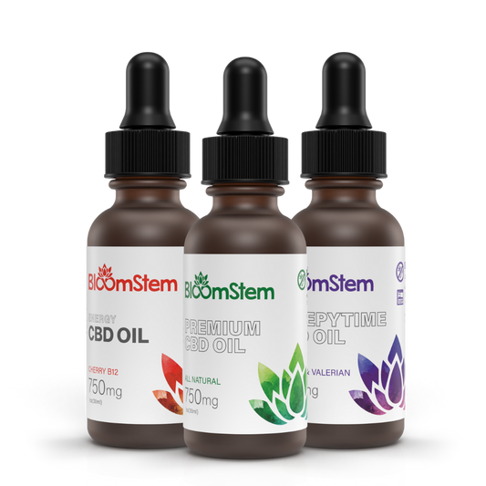 Live Your Life To The Fullest Package