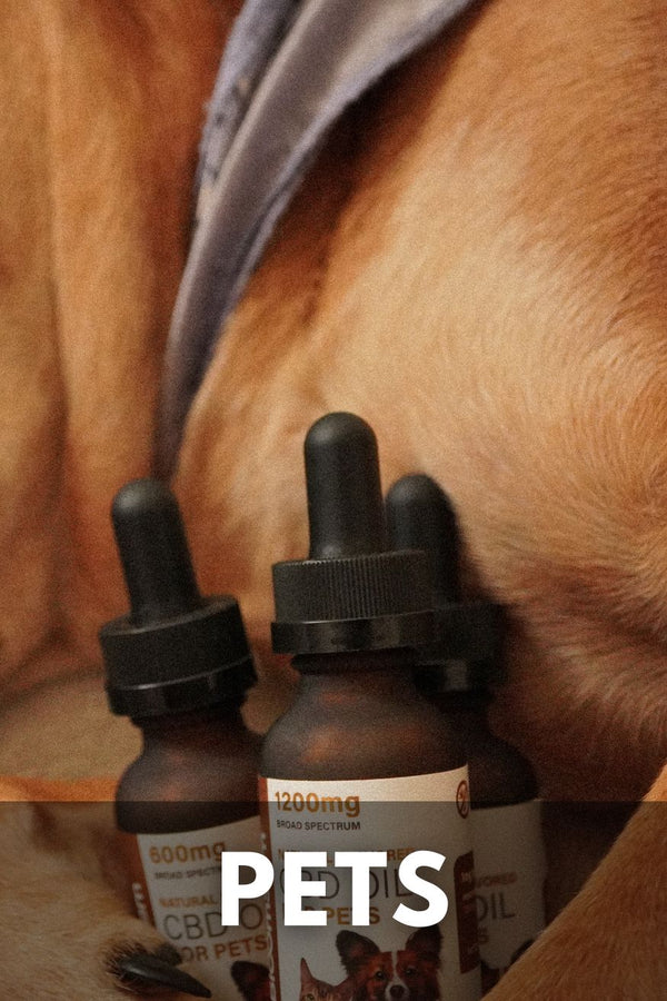 Pet Care